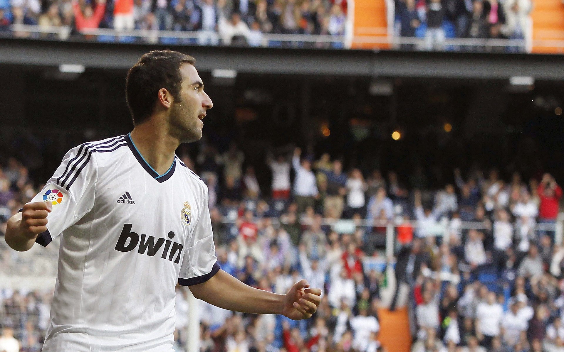 乐鱼网页版-德甲实现赛场绿色环保理念，追求可持续发展